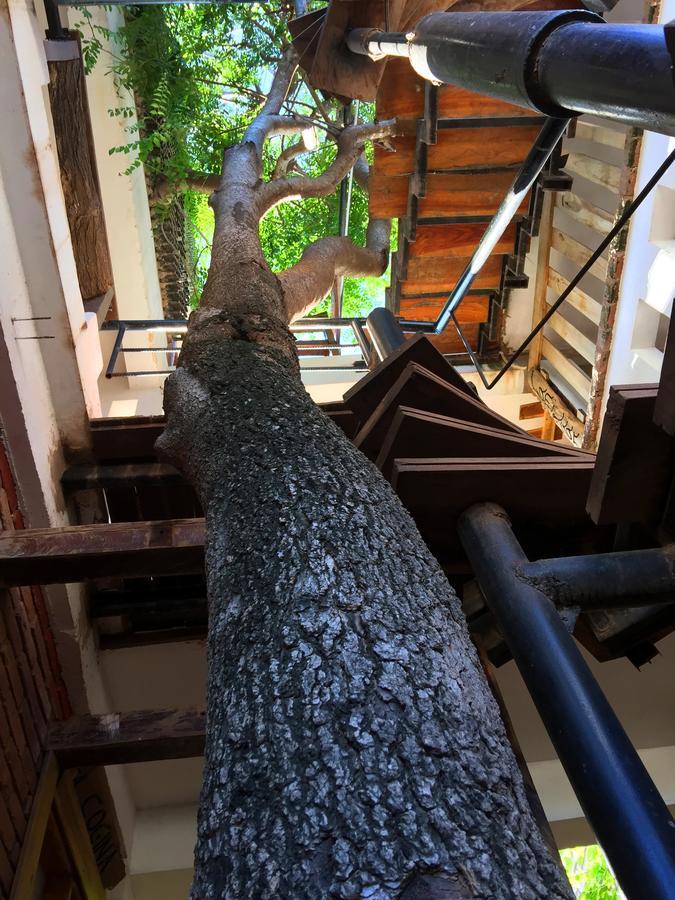 Eco Hotel Gota Del Chaco Villamontes 외부 사진